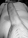 Pikkie, foto 1854x2472, 0 reacties, 1 stemmen
