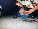 Piskut, foto 4000x3000, 20 reacties, 118 stemmen