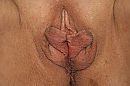 Platte vlinder...., foto 2816x1880, 60 reacties, 124 stemmen
