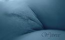 Pussy close-up, foto 1024x639, 20 reacties, 71 stemmen