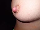 Roodknopje, foto 2048x1536, 5 reacties, 50 stemmen