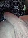 Rustig laten liggen, foto 2448x3264, 0 reacties, 5 stemmen