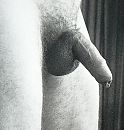 Slap, toch?, foto 1421x1483, 9 reacties, 10 stemmen