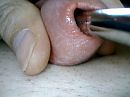 Spelen met mijn 16mm plug, foto 1280x960, 5 reacties, 11 stemmen