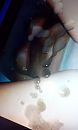 Spuiten op Couplexxx, foto 1728x2880, 3 reacties, 2 stemmen