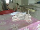 Stiekem, foto 2052x1532, 1 reacties, 9 stemmen