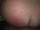 Suck the Horse Dick!, foto 2592x1944, 0 reacties, 2 stemmen