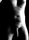 Surprise me in the dark, foto 3000x4000, 0 reacties, 1 stemmen