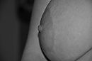 Tepel, foto 4000x2656, 4 reacties, 16 stemmen