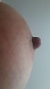 Tepeltje..., foto 1080x1920, 41 reacties, 237 stemmen