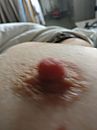 The nippel, foto 3000x4000, 8 reacties, 57 stemmen