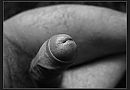 Top, foto 640x446, 2 reacties, 9 stemmen