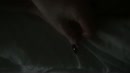 Trekken..., film 00:00:20, 3 reacties, 21 stemmen
