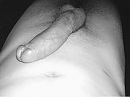 Uit de, foto 601x451, 1 reacties, 10 stemmen