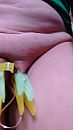 Vakantie, foto 900x1600, 1 reacties, 16 stemmen