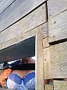 Vogelspotten!, foto 2448x3264, 31 reacties, 121 stemmen