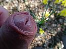 Voorjaar geen zin in bloem!, foto 4000x3000, 0 reacties, 5 stemmen