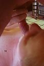 Vrijdag 30 December 2016. 3, foto 1262x1896, 5 reacties, 10 stemmen
