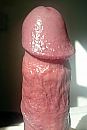 WILD VLEES, foto 1642x2446, 0 reacties, 1 stemmen