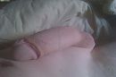 Wakker worden, foto 2592x1728, 2 reacties, 1 stemmen