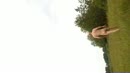 Wandelen op de IG, film 00:00:13, 3 reacties, 41 stemmen