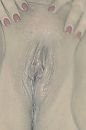 Wanna play?, foto 529x789, 16 reacties, 72 stemmen