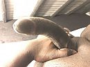 Wat gaan we doen vandaag?, foto 4000x3000, 8 reacties, 22 stemmen