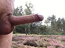 Wat is de natuur toch lekker, foto 2576x1932, 2 reacties, 16 stemmen