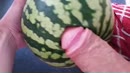 Watermeloen!, film 00:00:08, 3 reacties, 29 stemmen