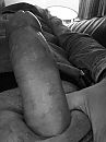 Wie o wie, foto 960x1280, 2 reacties, 4 stemmen