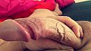 Wie wil hem?, foto 1334x750, 0 reacties, 1 stemmen