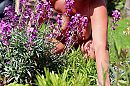 World Naked Gardening Day!!!, foto 4000x2666, 8 reacties, 49 stemmen