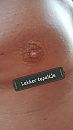 X, foto 747x1328, 3 reacties, 7 stemmen