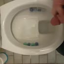 Zaad lozen, film 00:00:24, 7 reacties, 17 stemmen