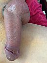 Zin, foto 2448x3264, 4 reacties, 8 stemmen