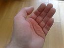 Zintuig, foto 2592x1944, 9 reacties, 18 stemmen