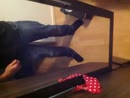Zo geillllllllll......., film 00:00:00, 1 reacties, 4 stemmen