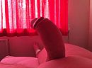 Zo geil, foto 2592x1936, 0 reacties, 0 stemmen