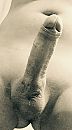 Zooo....., foto 623x1109, 1 reacties, 4 stemmen