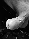 ....., foto 2448x3264, 18 reacties, 78 stemmen