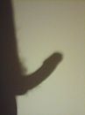 ..., foto 600x800, 1 reacties, 6 stemmen