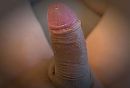 ..., foto 1499x1020, 4 reacties, 10 stemmen