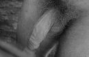 ..., foto 712x457, 2 reacties, 7 stemmen