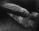 .., foto 1182x960, 2 reacties, 5 stemmen