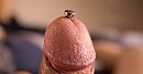 Hard en Geil ...., foto 1760x920, 3 reacties, 16 stemmen