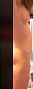 ..., foto 831x2158, 2 reacties, 12 stemmen