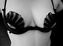 ..., foto 3749x2731, 0 reacties, 19 stemmen
