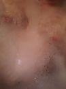 .., foto 1944x2592, 0 reacties, 2 stemmen