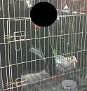achter in de auto, foto 1869x1952, 0 reacties, 2 stemmen