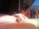 balkon, foto 2048x1536, 3 reacties, 9 stemmen